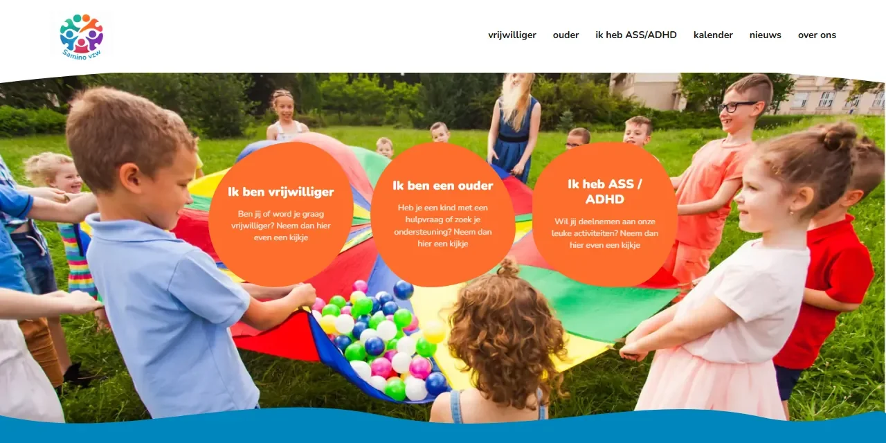 Screenshot of the Samino website